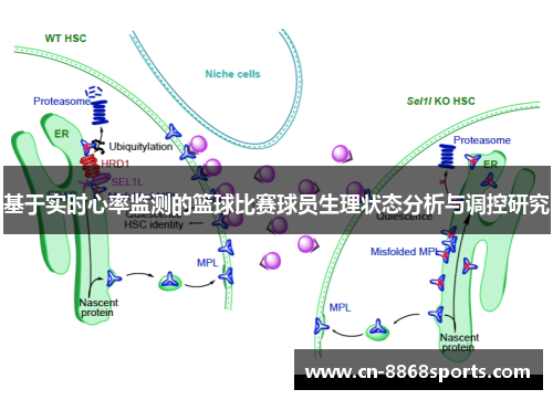 基于实时心率监测的篮球比赛球员生理状态分析与调控研究