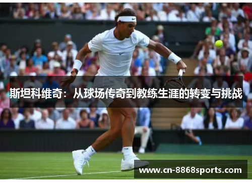 斯坦科维奇：从球场传奇到教练生涯的转变与挑战