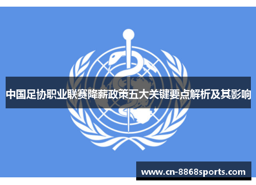 中国足协职业联赛降薪政策五大关键要点解析及其影响
