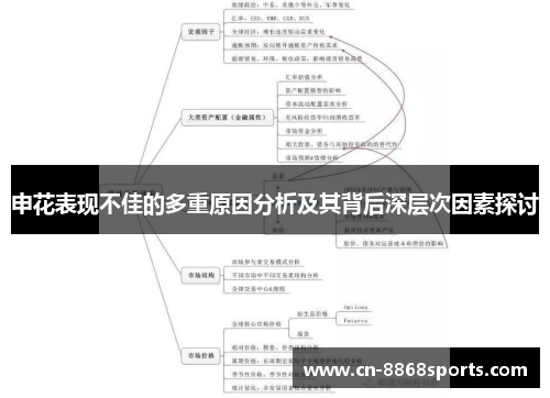 申花表现不佳的多重原因分析及其背后深层次因素探讨