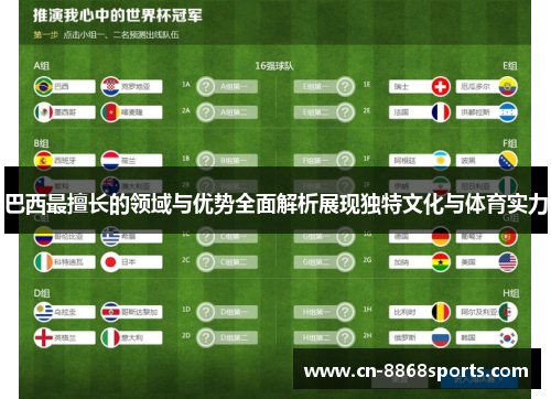 巴西最擅长的领域与优势全面解析展现独特文化与体育实力